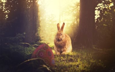 Pourquoi des oeufs et des lapins en chocolat pour Pâques ?