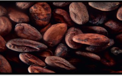 Programme des Rallyes du Chocolat 2020